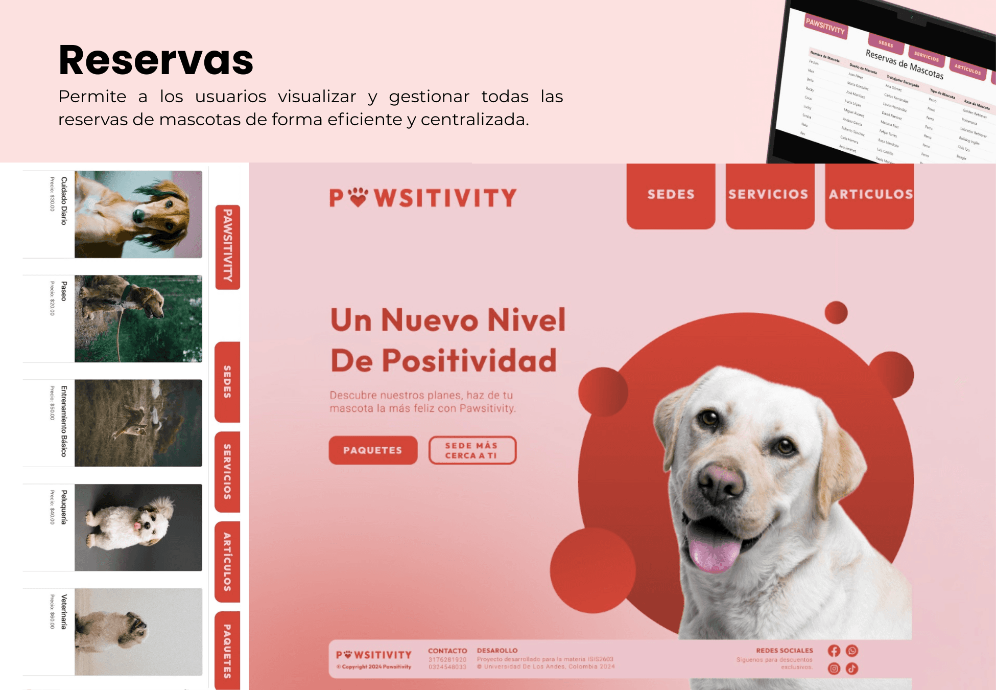 Pawsitivity DogSpa